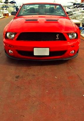 Shelby GT500 Convertible